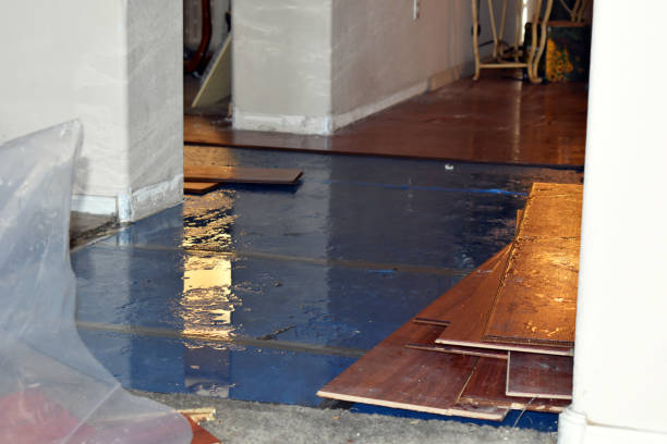 Professional Basement Flood Cleanup technician working in Sagamore, MA